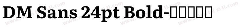 DM Sans 24pt Bold字体转换
